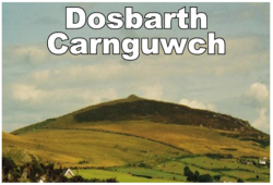 Dosbarth Carnguwch